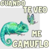 CUANDO
TE VEO
ME
CAMUFLO