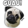 GUAU!
@lexa