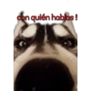 perros tóxicos ᥫ᭡ 5