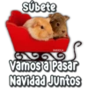 subete
FABIOLA
Vamos a Pasar
Navidad Juntos