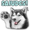 SAIUDES!
@lexa