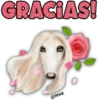 GRACIAS!
@lexa
O