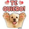 TE
QUIERO!
@lexa