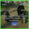 Motos 6