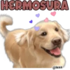 HERMOSURA
@lexa