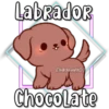 Labrador
Eli&Javi(JD)
Chocolate