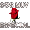 Para Enamorar 5