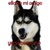 perros tóxicos ᥫ᭡ 7