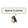 Club Pingüino lol 5