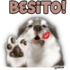 BESITO!
@lexa