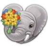 Animals 5