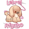 Lebrel
Eli&Java(JD)
Afgano
