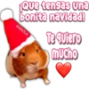 ¡Que tengas una
bonita navidad!
FABIOLA
Te quiero
mucho
