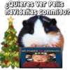 ¿Quieres ver Pelis
navideñas conmigo?
MI POBRE
FABIOLA
ANGELITO