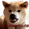 perros tóxicos ᥫ᭡ 8