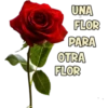 Para Enamorar 6