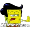 Alto ahí perra