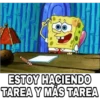 E
ESTOY HACIENDO
TAREA Y MÁS TAREA