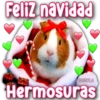 Feliz navidad
FABIOLA
Hermosuras