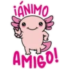 ANIMO
AMIGO!