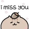 Cute Pets 9