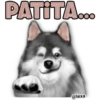PATITA...
@lexa