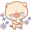 little pig 9