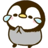 Cute pingu 10