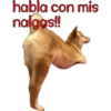 perros tóxicos ᥫ᭡ 9