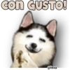 con GUSTO!
@lexa
