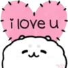 Cute Pets 10