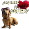 SALIMOS
A
COMER?