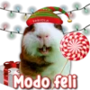 FABIOLA
Modo feli