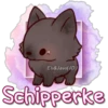 Eli&Javi(JD)
Schipperke