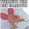 PUERQUITO PERO BIEN CALIENTITO
