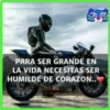 Motos 14