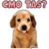 CMO TAS?
@lexa