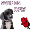 SALIMOS
HOY?