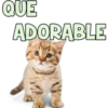 QUE
ADORABLE