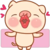 little pig 15