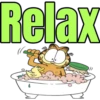 Garfield 12