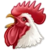Animals 11