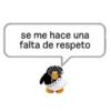Club Pingüino lol 12