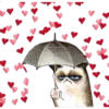 Para Enamorar 13