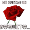 Para Enamorar 14