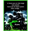 Motos 15