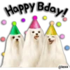 Happy Bday!
@lexa