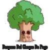 Antes y Después 15