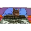 Sabanas Animales 11