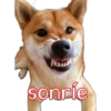 perros tóxicos ᥫ᭡ 12